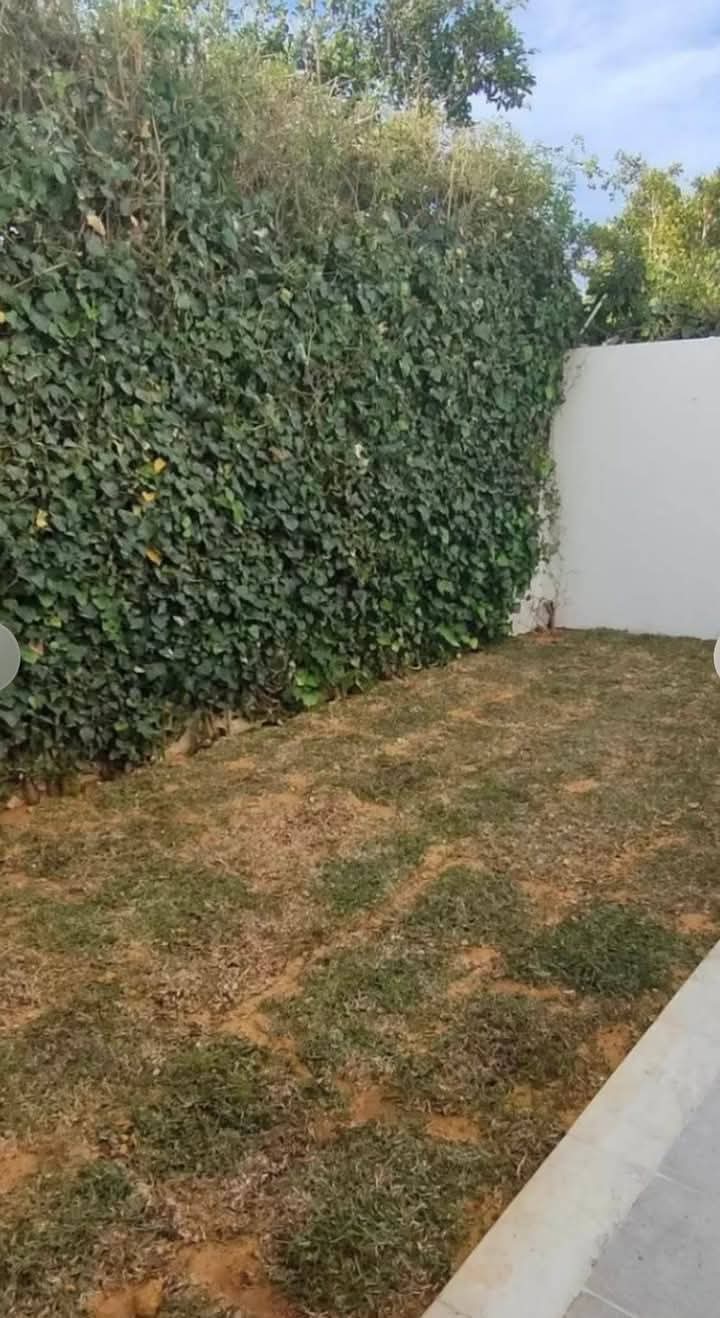 Mnihla Jardins d'el Menzah Location Appart. 3 pices Un s plus 2 avec jardin jardin d'el menzah