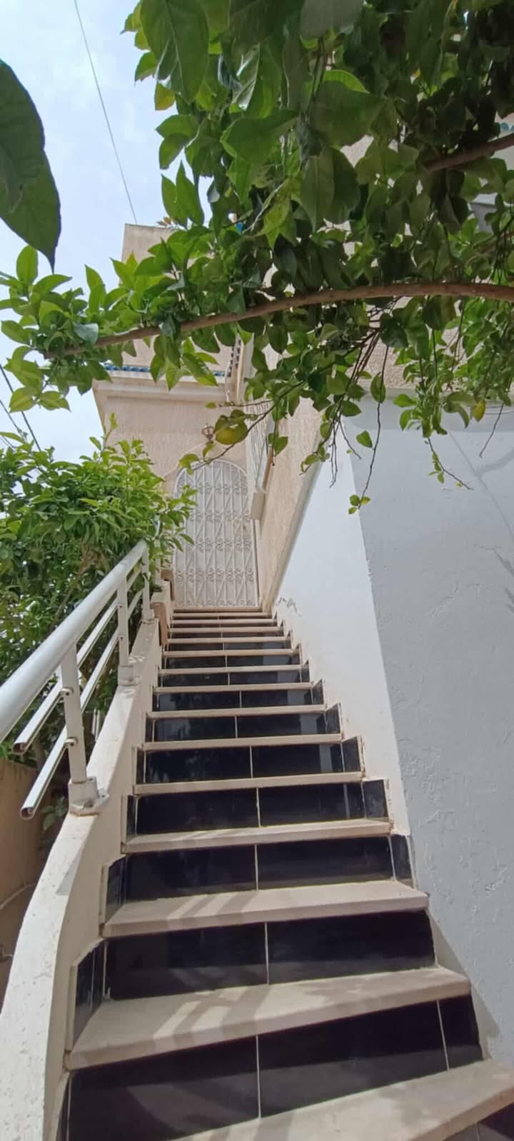El Mourouj El Mourouj Location Appart. 2 pices Studio trs chic kmar