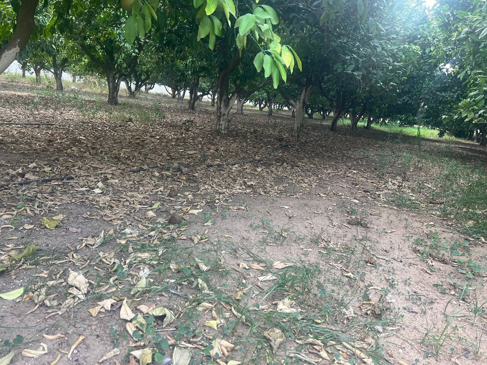 El Menzah El Menzah 9 Location Maisons Villa 3 niveaux avec jardin