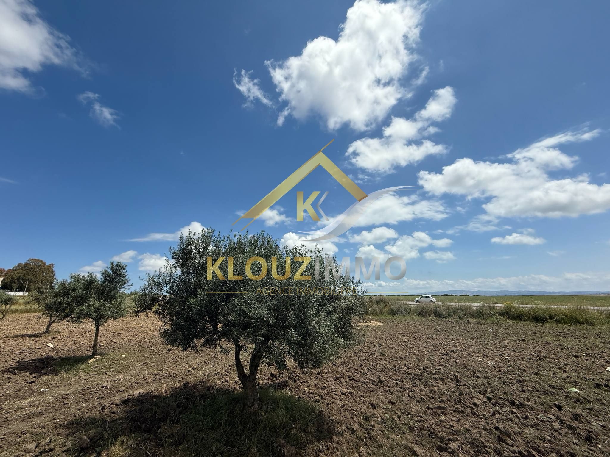 Bizerte Nord Bizerte Terrain Terrain agricole Terrain sur la route principale gp 11 bizerte