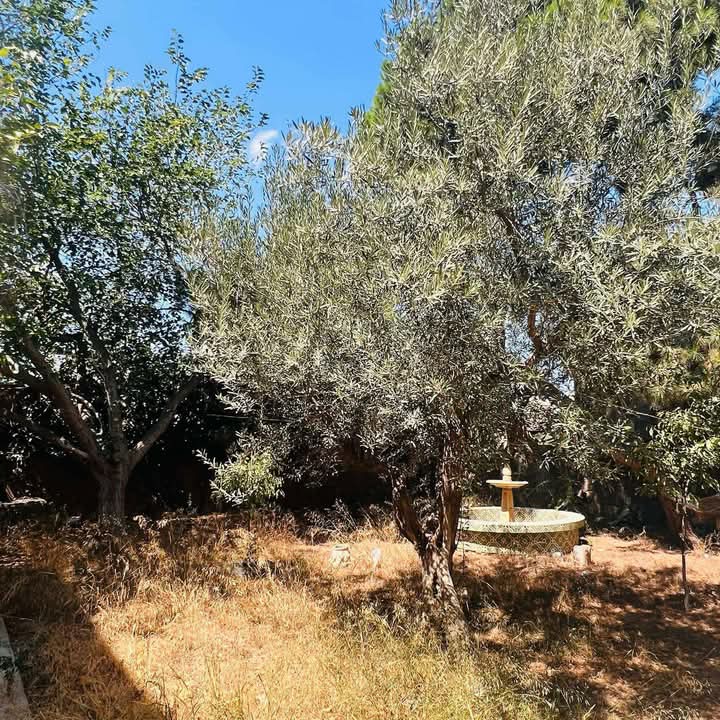 Beni Khiar Beni Khiar Vente Maisons Maison beni khiar