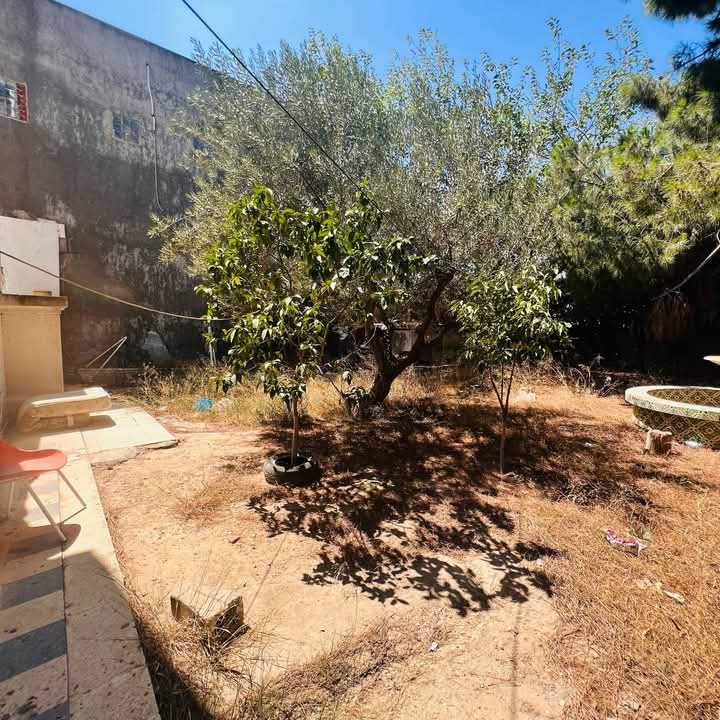 Beni Khiar Beni Khiar Vente Maisons Maison beni khiar