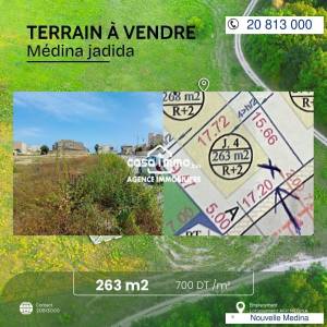 Nouvelle Medina Nouvelle Medina Vente Surfaces A  terrain  nouvelle medina ref780a