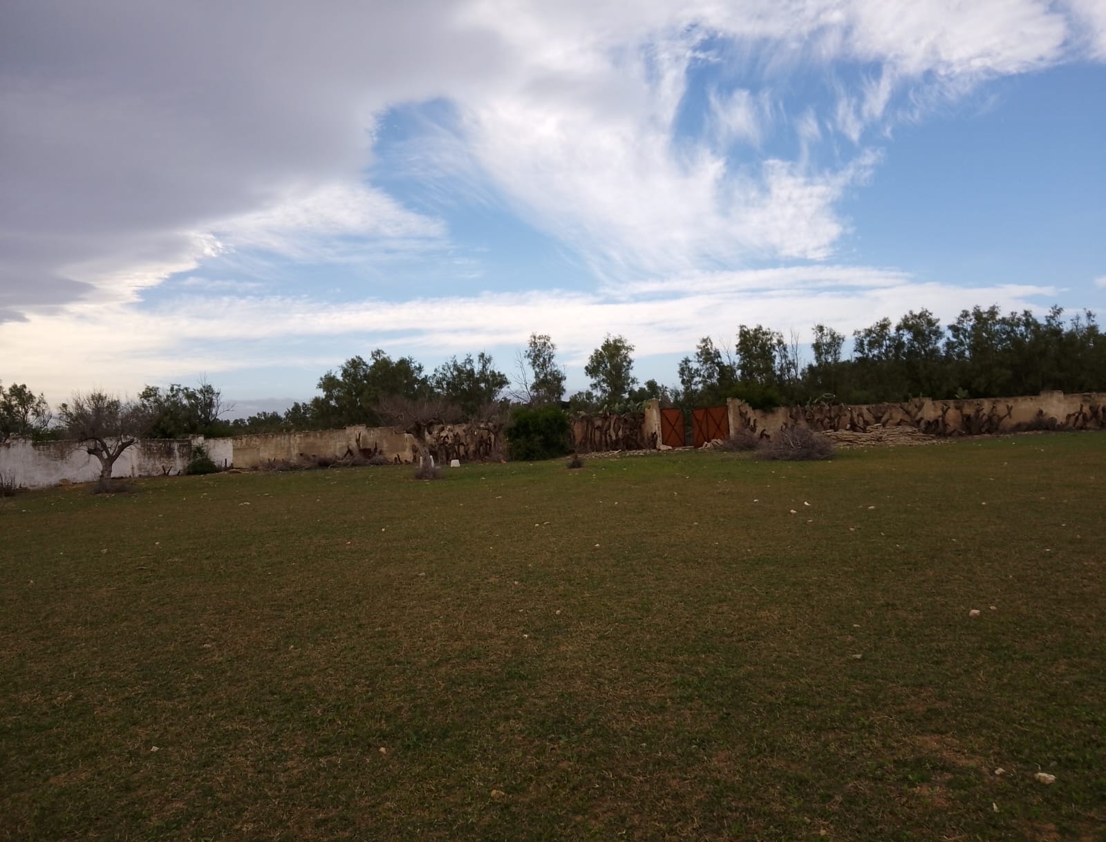 Beni Khiar El Maamoura Vente Surfaces Terrain  daroufa