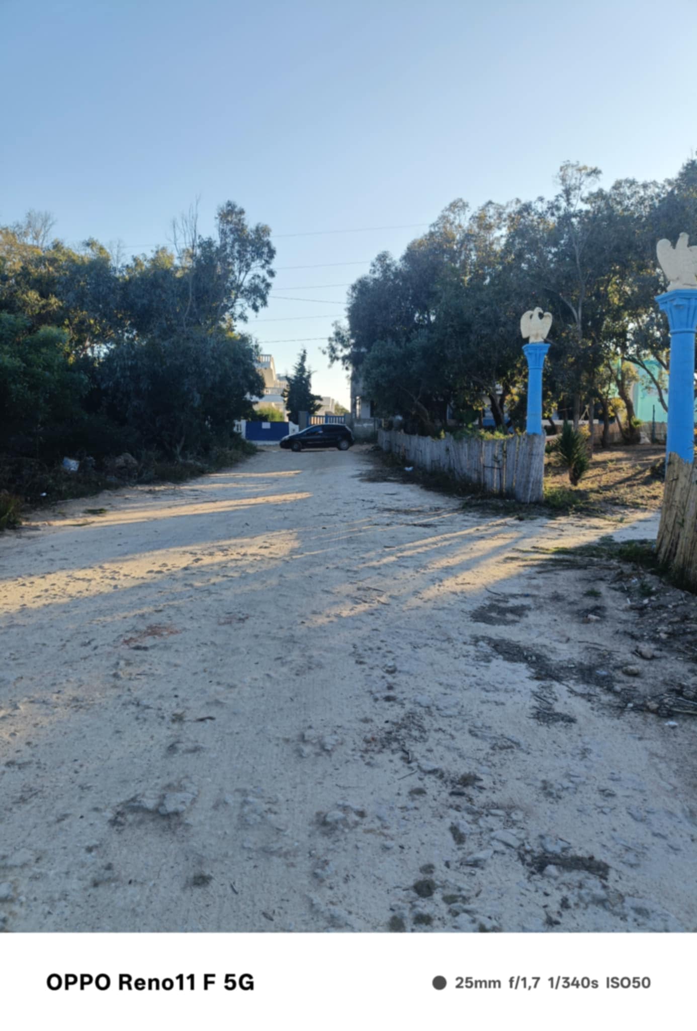 Kelibia Kerkouane Terrain Terrain nu Un terrain situ a kerkwen plage kelibia