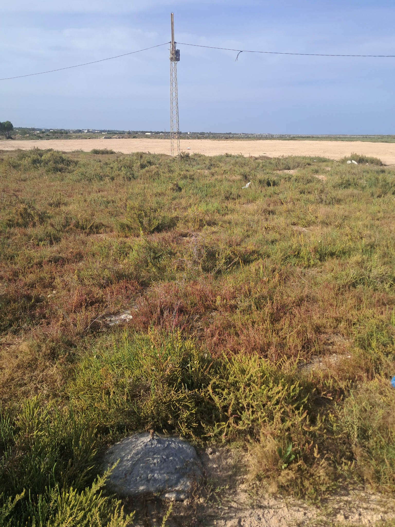 Beni Khiar El Maamoura Terrain Terrain nu Maamoura vd 2500 m2 pieds dans l'eau