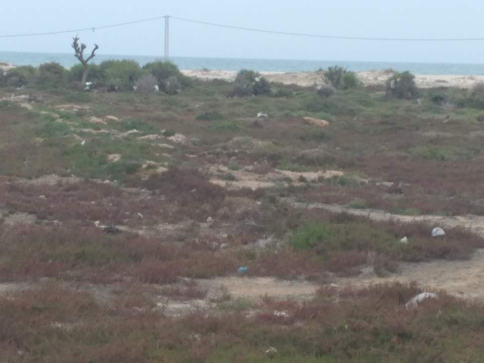 Beni Khiar El Maamoura Terrain Terrain nu Maamoura vd 2500 m2 pieds dans l'eau