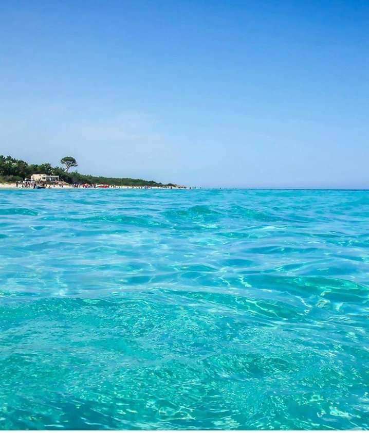 Hammam El Ghezaz Ezzahra Terrain Terrain agricole Terrain au bord de la mer magnifique