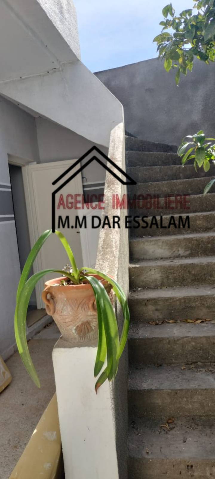 Hammam El Ghezaz Hammam El Ghezaz Vente Maisons Maison indpendante  hamem el ghzez
