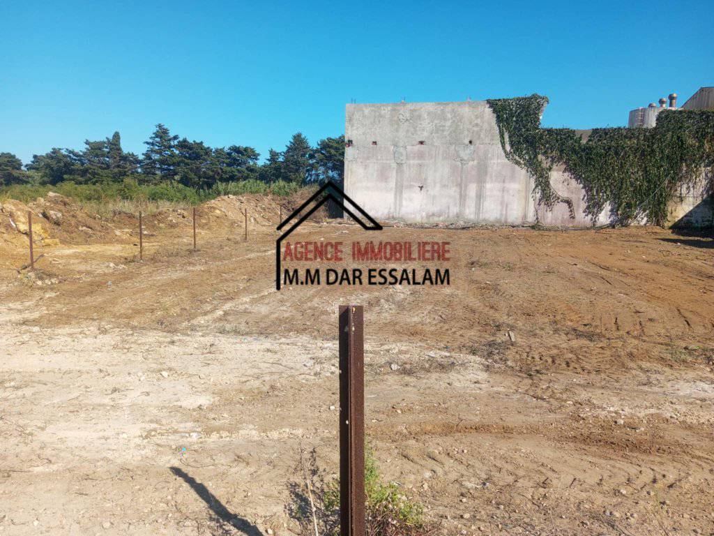 Kelibia Dar Allouche Terrain Terrain nu Terrain constructible  dar allouche