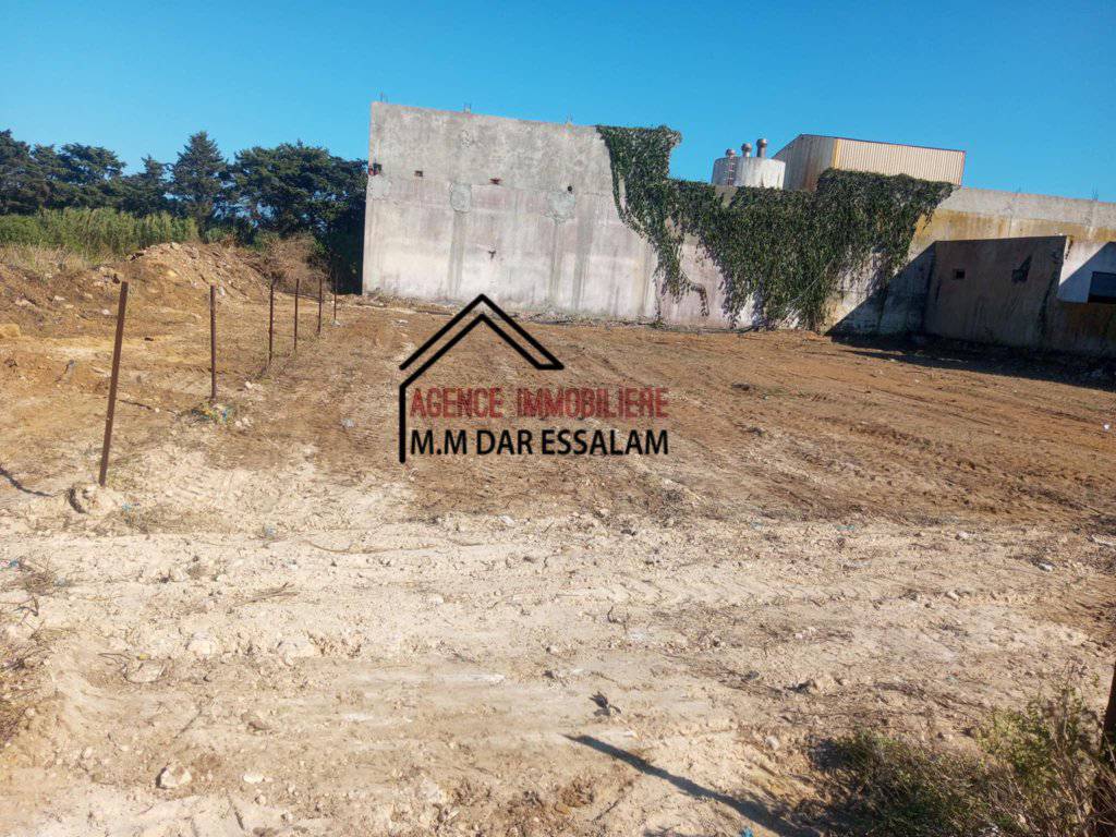 Kelibia Dar Allouche Terrain Terrain nu Terrain constructible  dar allouche