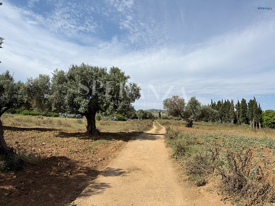 Nabeul Nabeul Terrain Terrain agricole Terrain horizon