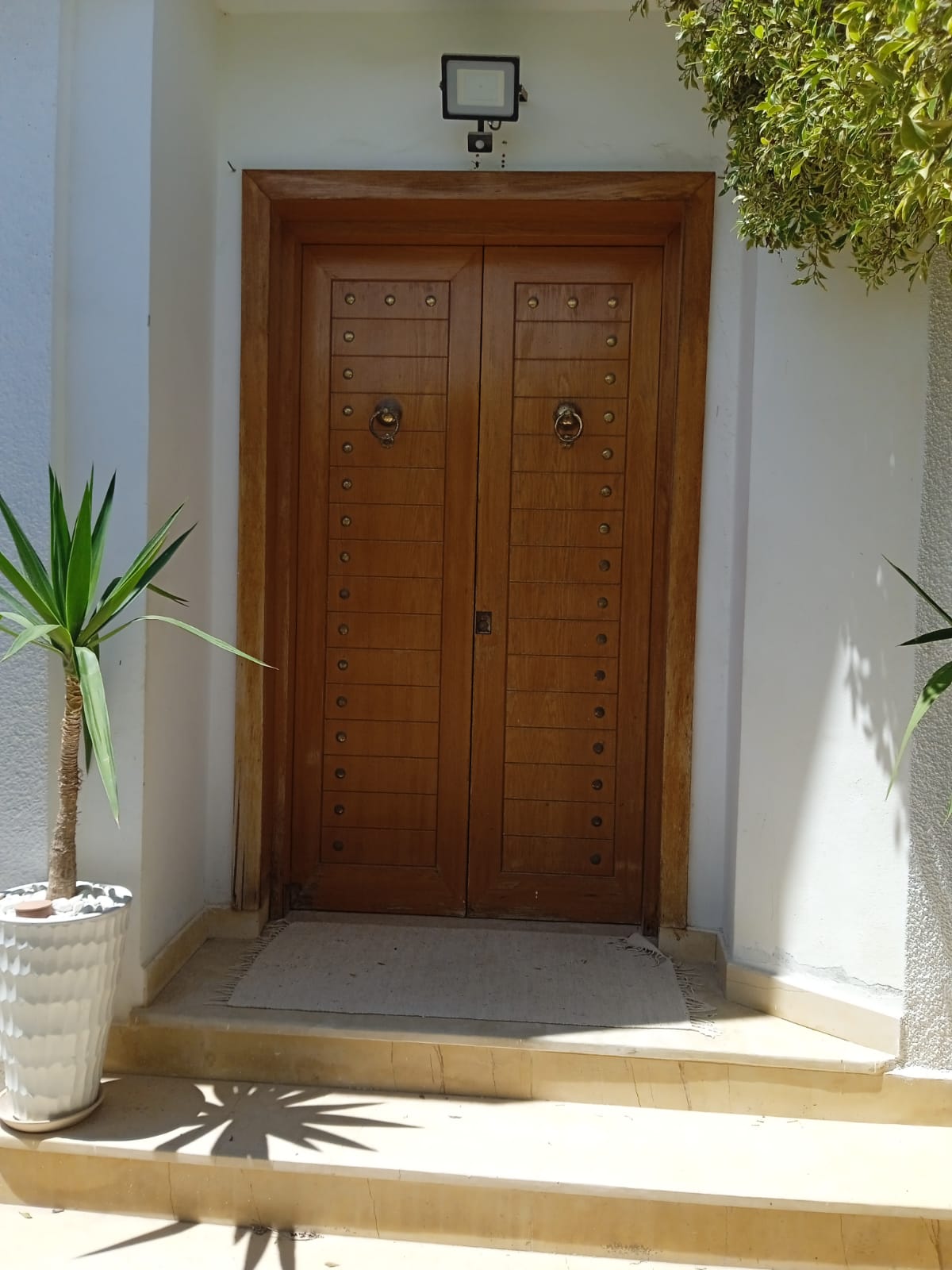 Kelibia Cite Riadh Location Maisons Maison estivale