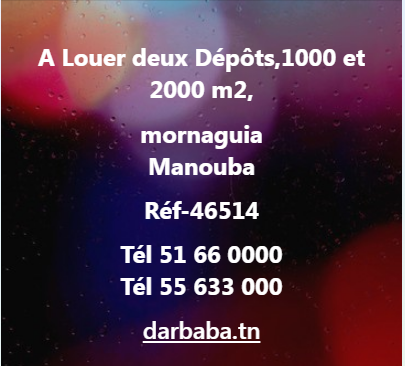 Mornaguia Mornaguia Location Surfaces Al depot 2000 m2 ref 46515