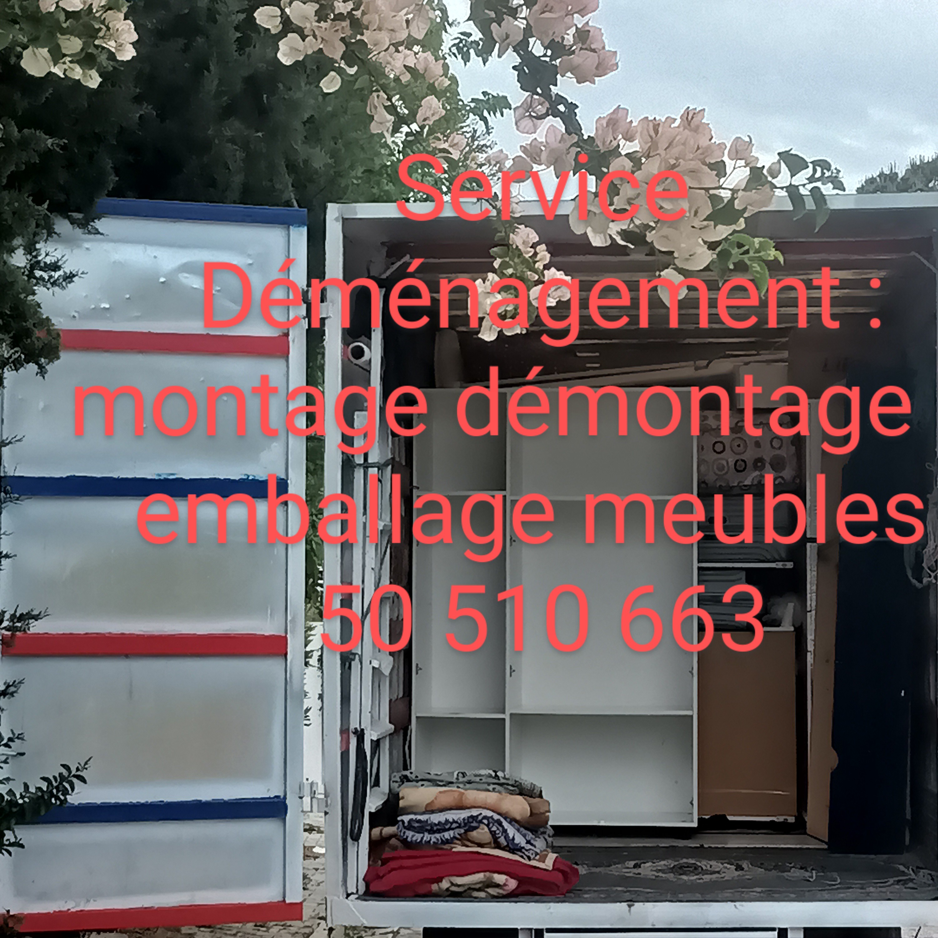 Mannouba La Mannouba Autre Autre Transporteur 50510663