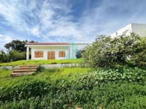 Borj El Amri Borj El Amri Vente Surfaces Ferme 13 hectares  borj el amri a ref212a