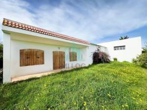 Borj El Amri Borj El Amri Vente Surfaces Ferme 13 hectares  borj el amri a ref212a