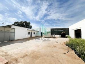 Borj El Amri Borj El Amri Vente Surfaces Ferme 13 hectares  borj el amri a ref212a