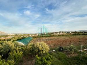 Mornag El Ksibi Vente Surfaces Une ferme de 3 hectares  mornag ref215a
