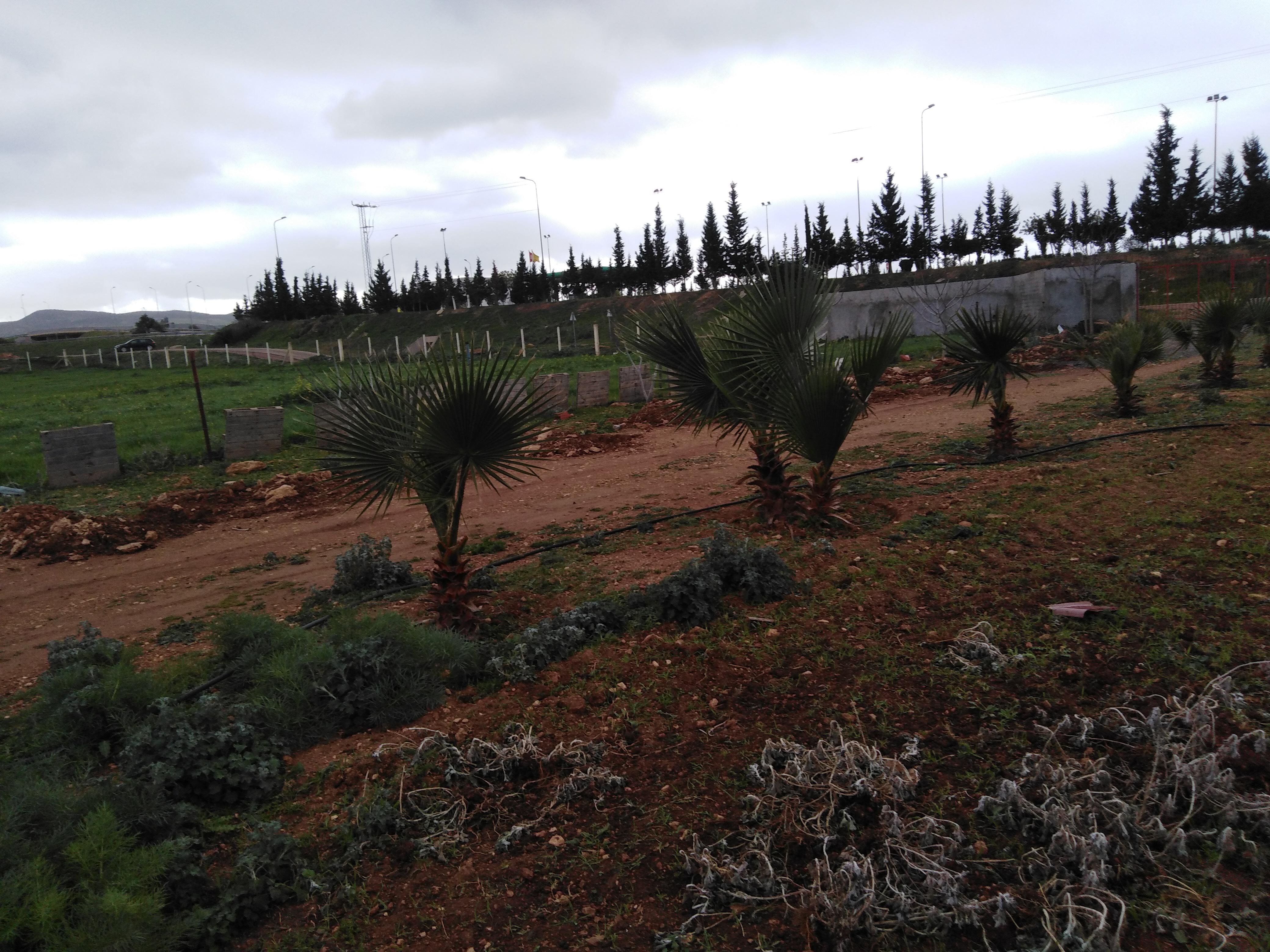 Borj El Amri Borj El Amri Terrain Terrain agricole Terrain agricole