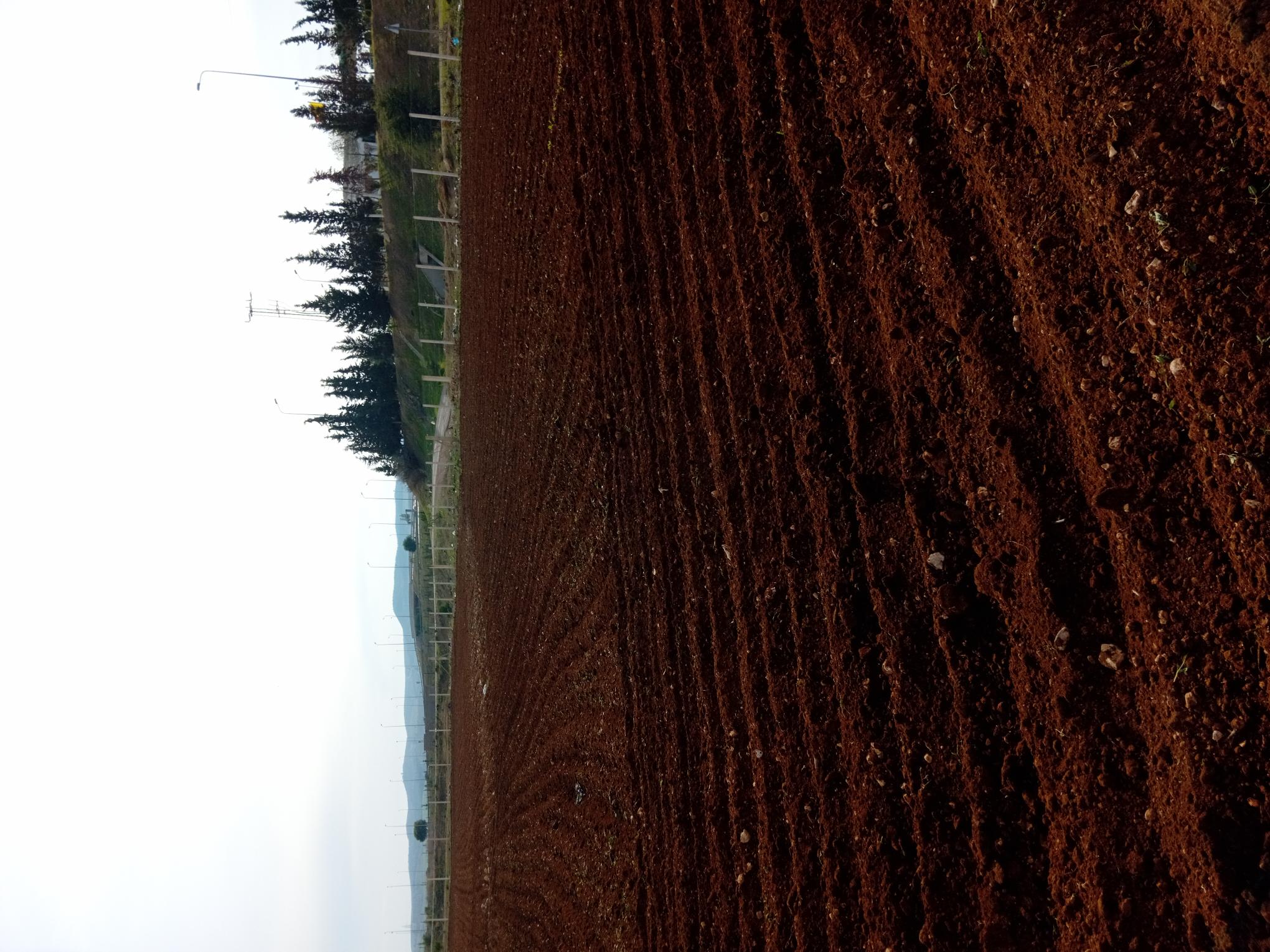 Borj El Amri Borj El Amri Terrain Terrain agricole Terrain agricole