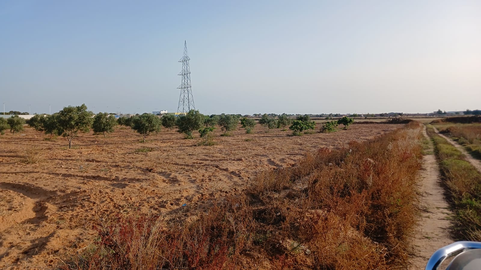 Sakiet Ezzit Sidi Salah Terrain Terrain agricole Opportunite a saisir terrain agricole