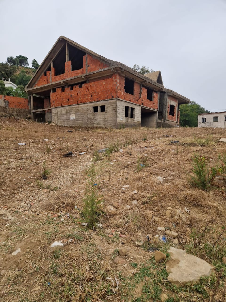 Ain Draham Ain Draham Vente Duplex Occasion verte