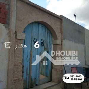 Kairouan Sud El Makhsouma Vente Appart. 1 pice  6   ref188a