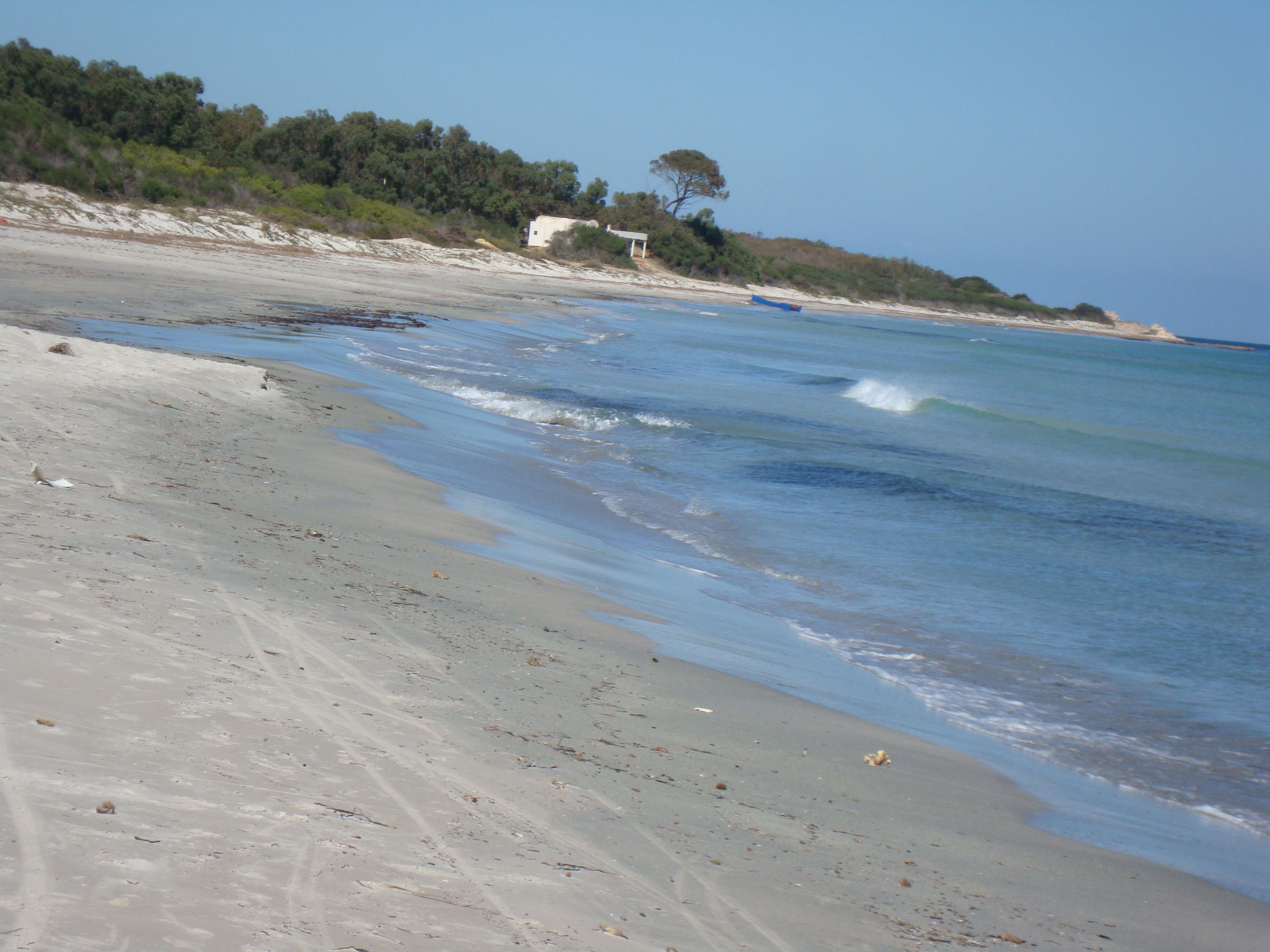 Kelibia Kerkouane Terrain Terrain nu Terrain pour les investisseurs de 1 ha
