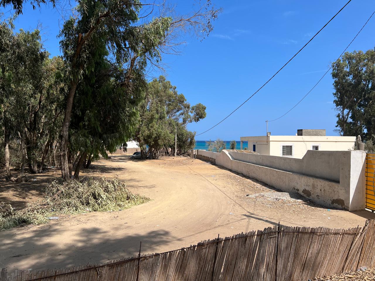 Kelibia Dar Allouche Terrain Terrain agricole Un terrain de 5 hectare a cot dar allouche