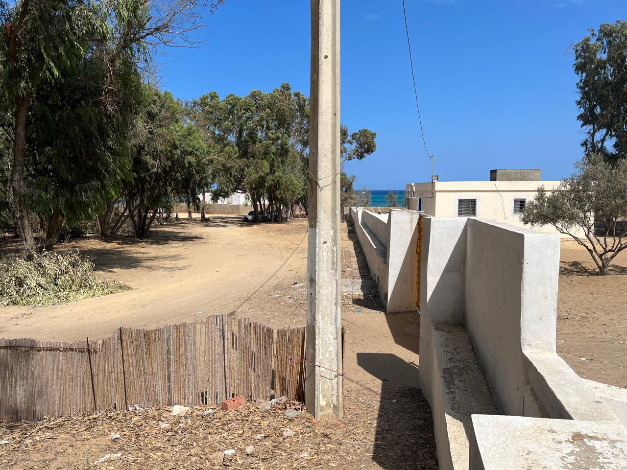 Hammam El Ghezaz Tamazrat Terrain Terrain agricole Belle opportunit d 'investir de 10 ha