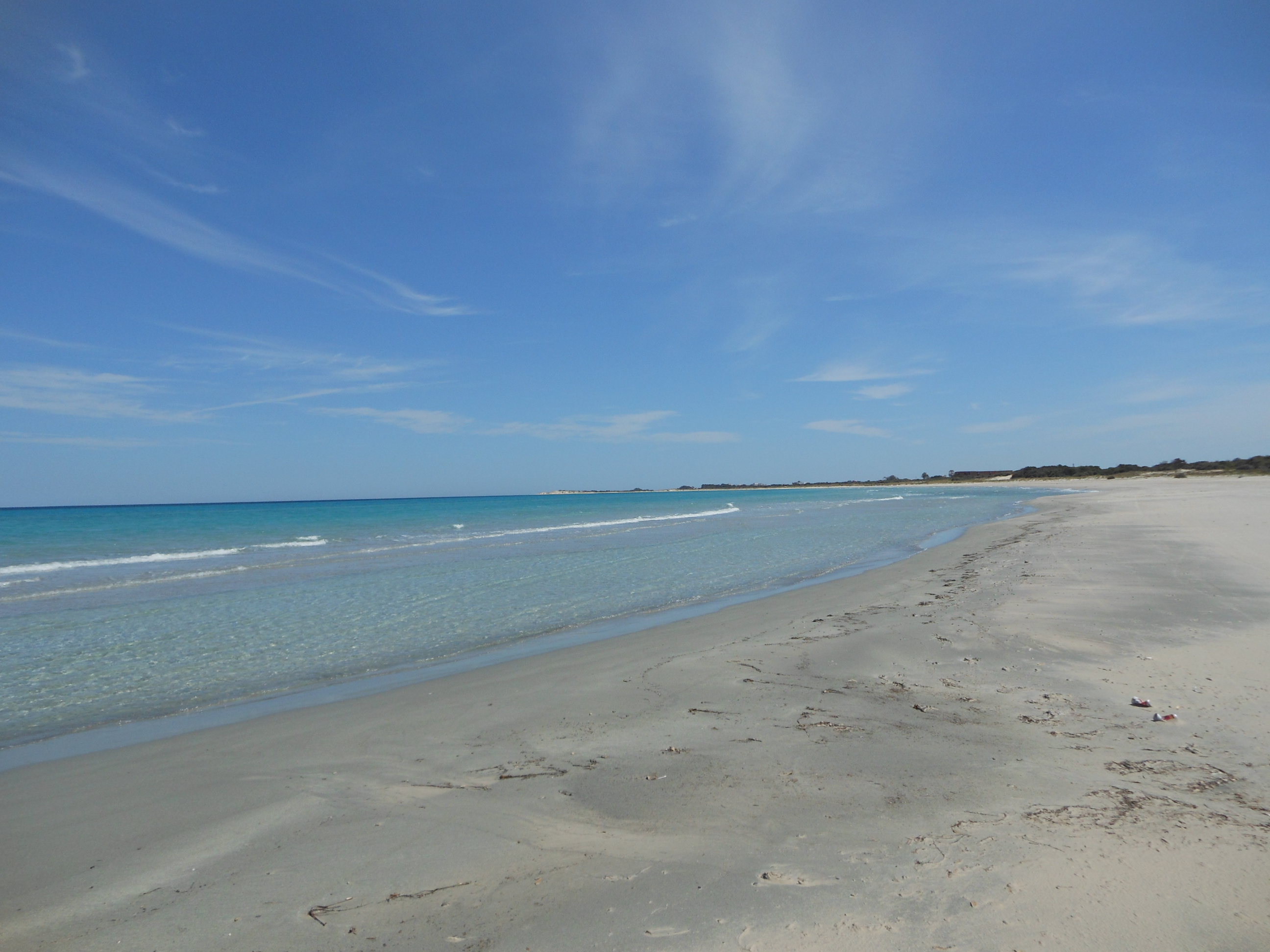 Kelibia Dar Allouche Terrain Terrain agricole Bonne occasion de 3 hectare