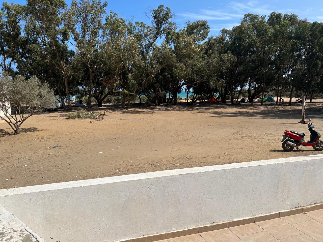 Hammam El Ghezaz Hammam Jebli Terrain Terrain agricole 1 hectare  hammam el ghezaz pour investir