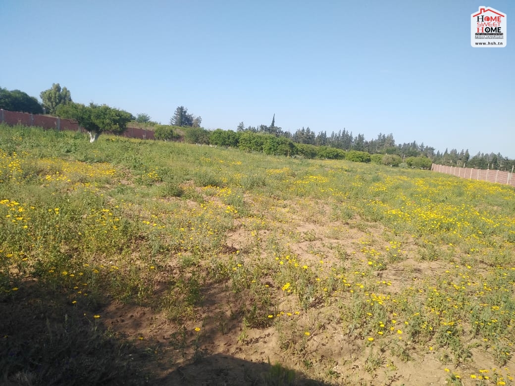 Soliman Cherifate Terrain Terrain agricole Terrain agricole orange   echrifet solimen