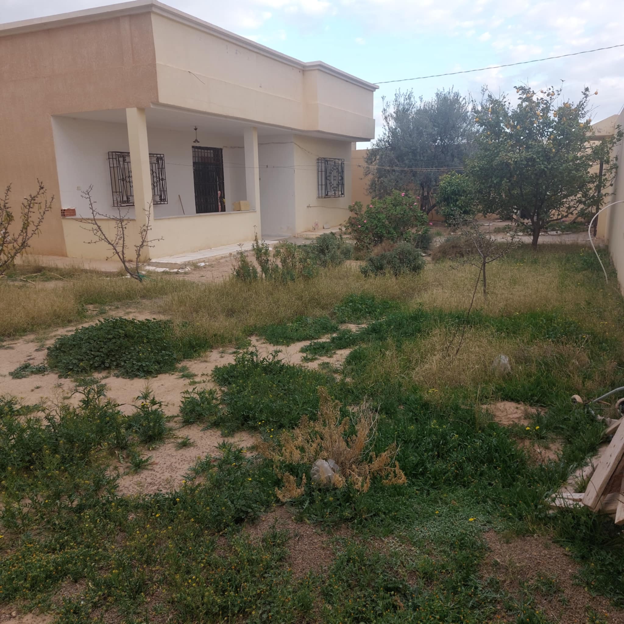 Kasserine Nord Kasserine Vente Maisons Une villa  bien situe  kasserine