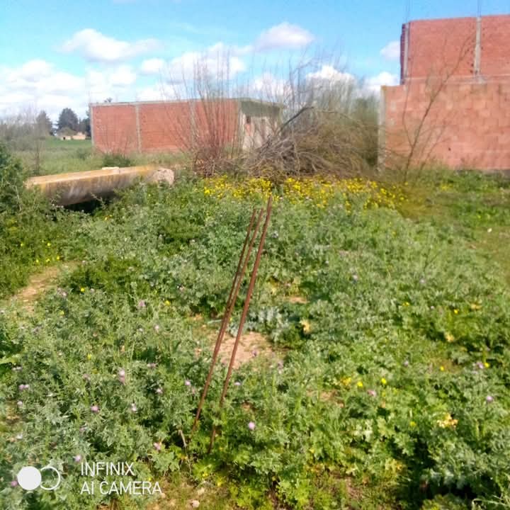 Oued Ellil Cite Bennour Bejoua 1 Terrain Terrain nu Lot de terrain