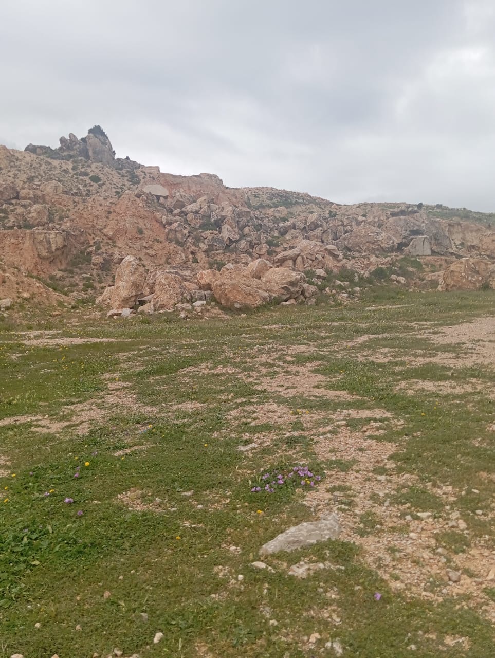 Grombalia Fondouk Jedid Terrain Terrain nu Terrain avec gisement de marbre proche  el mazraa