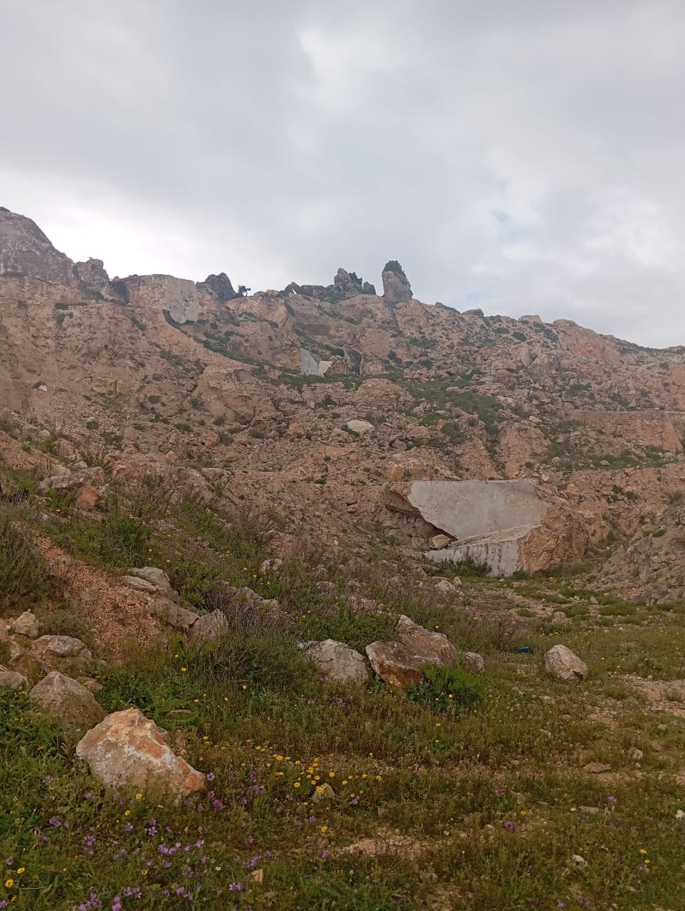Grombalia Fondouk Jedid Terrain Terrain nu Terrain avec gisement de marbre proche  el mazraa