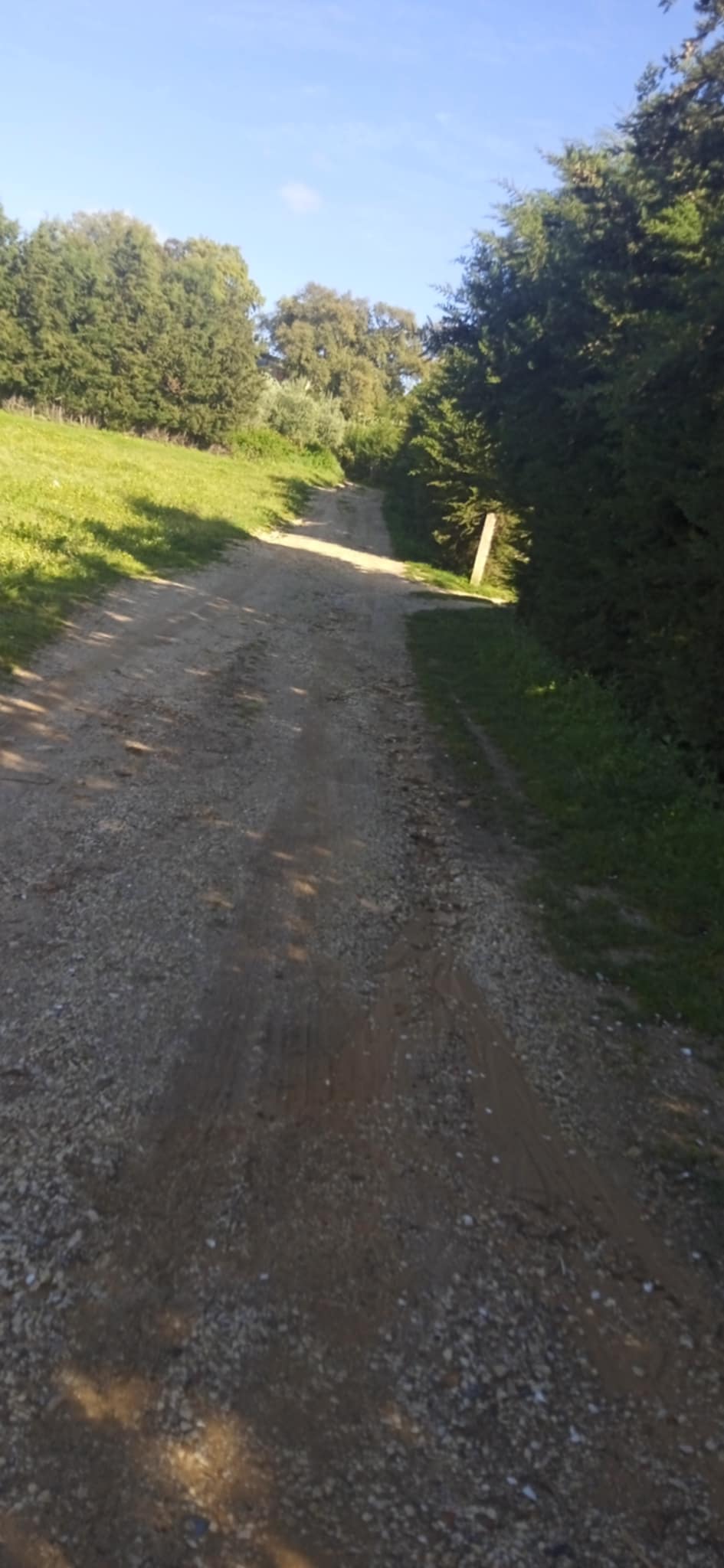 Ain Draham El Houmrane Vente Autre Terrain avec btiments et ferme