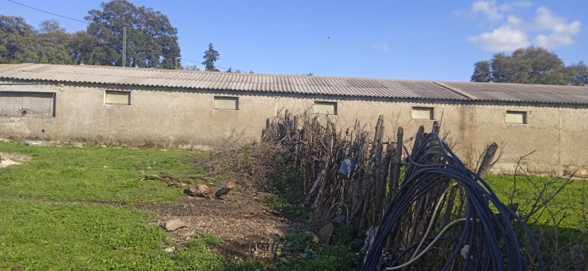 Ain Draham El Houmrane Vente Autre Terrain avec btiments et ferme