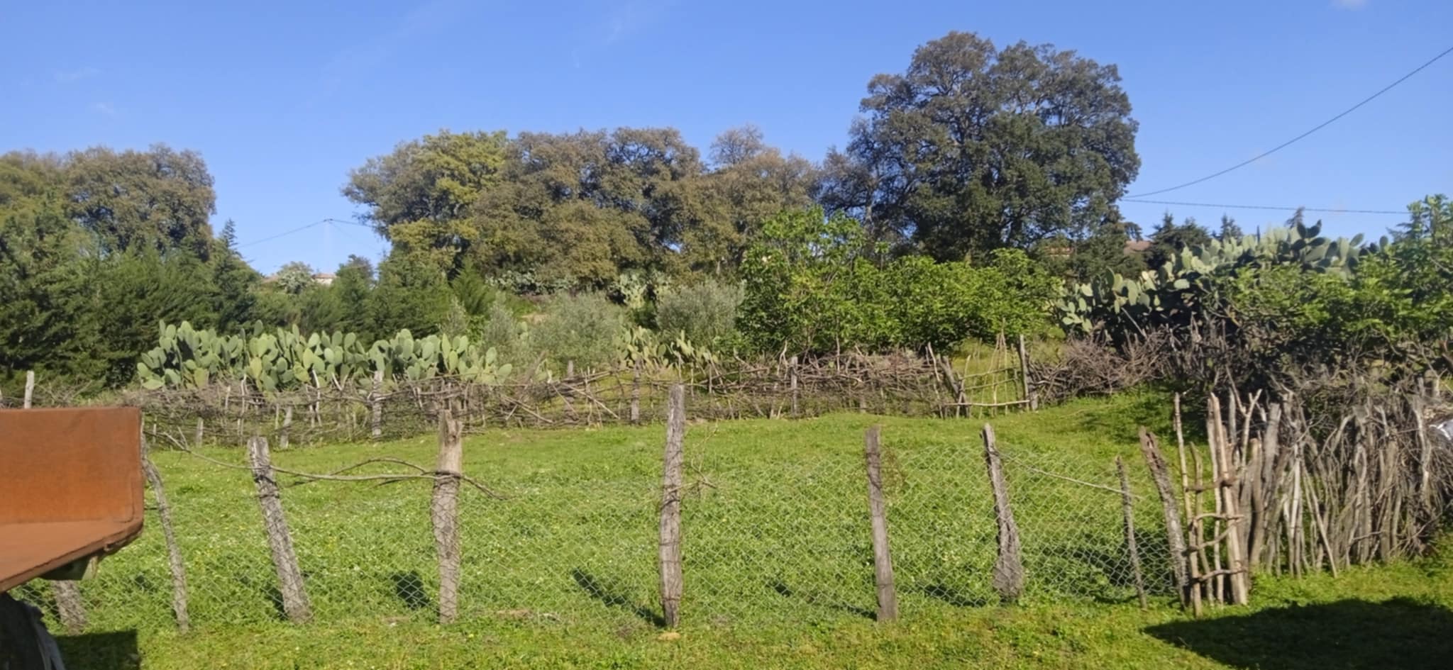 Ain Draham El Houmrane Vente Autre Terrain avec btiments et ferme