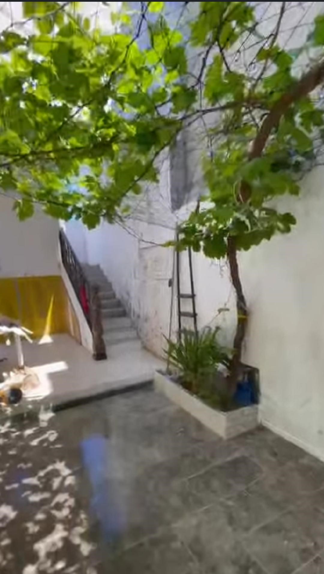 Bekalta Charaf Vente Maisons Maison bord mer