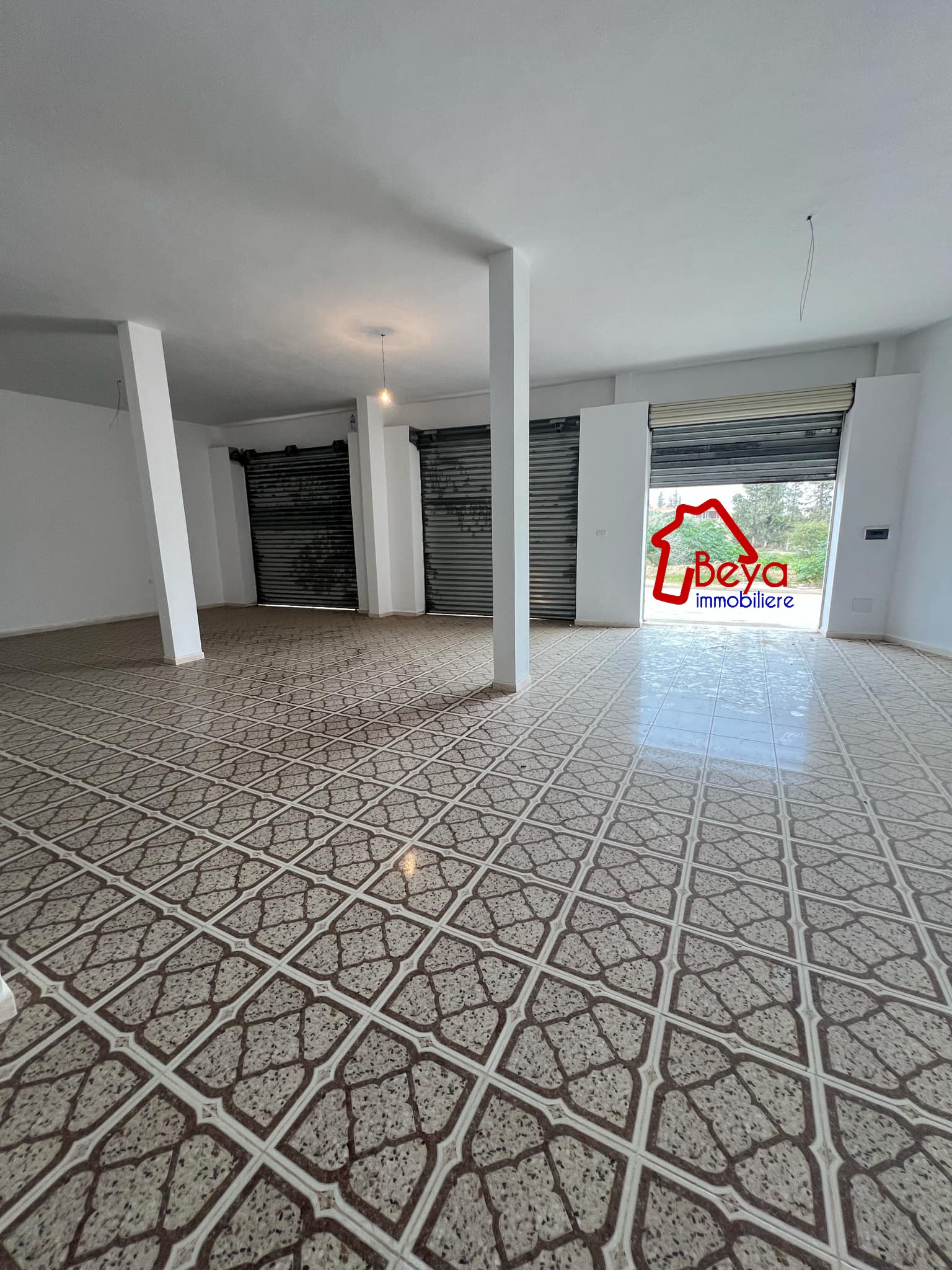 Zaghouan Zaghouan Vente Maisons 3 grarages et une maison