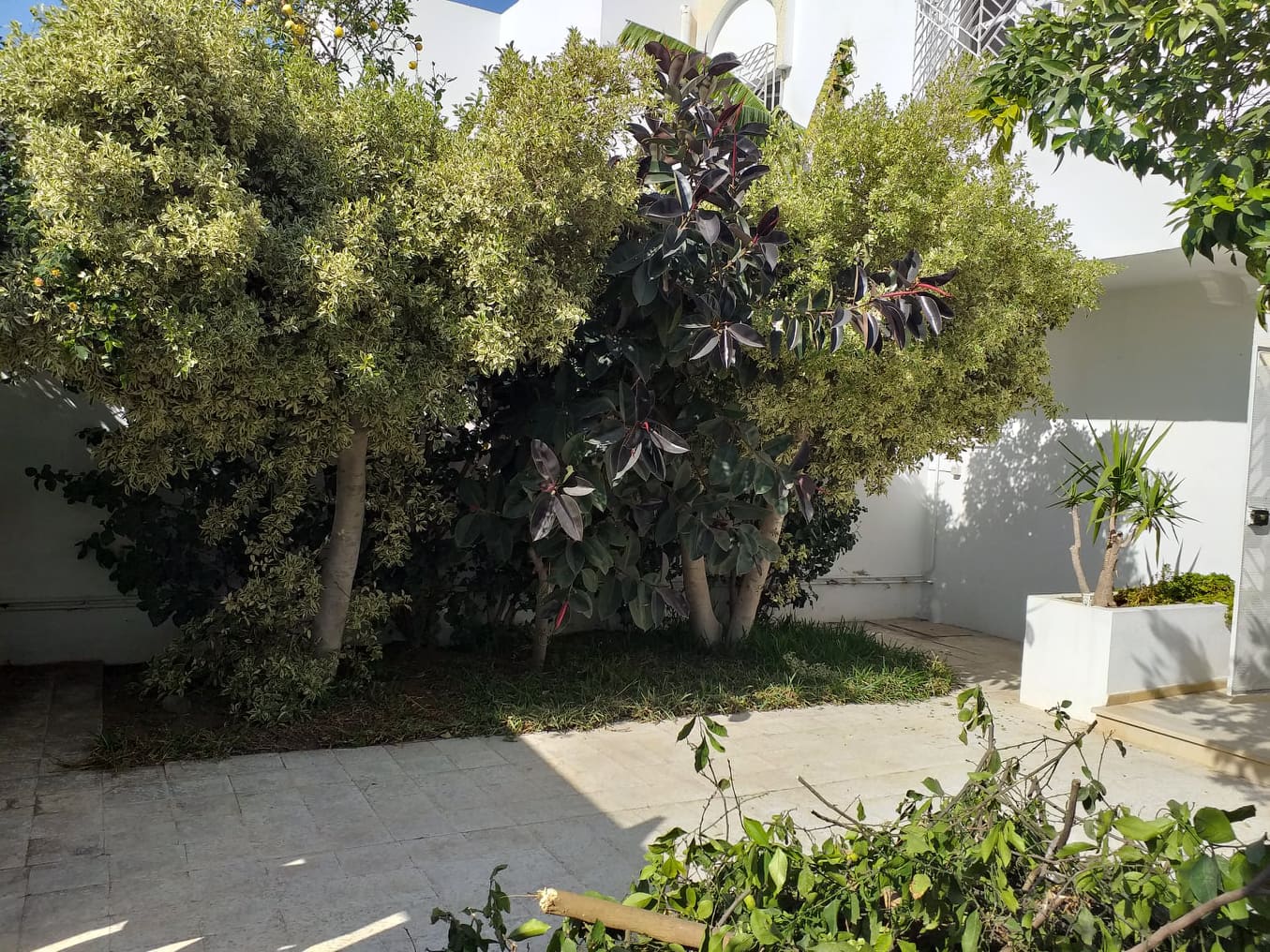 La Marsa El Aouina Location Maisons Villa s3 jumele l'aouina