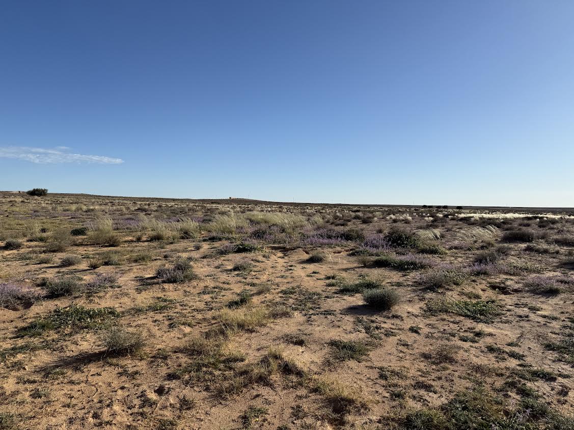 Esskhira Naoual Terrain Terrain nu Grande surface agricole