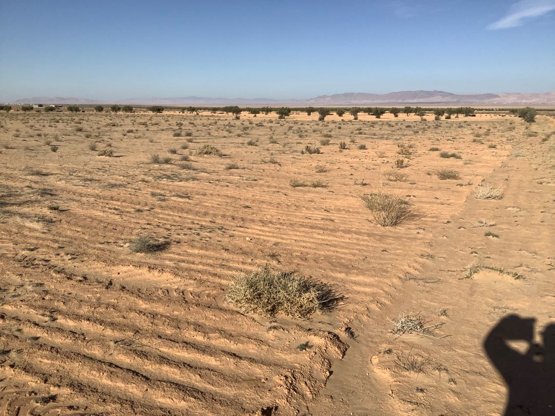 Esskhira Naoual Terrain Terrain agricole Profiter l'occasion