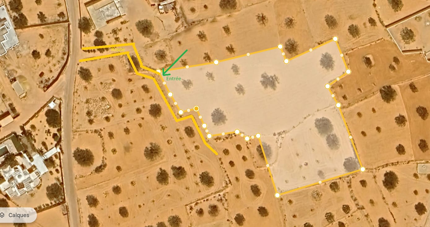 Djerba - Midoun Cedouikeche Vente Surfaces Terrains  djerba