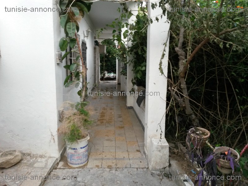 Bizerte Nord Cite El Korniche 1 Location Maisons Villa rdc la corniche