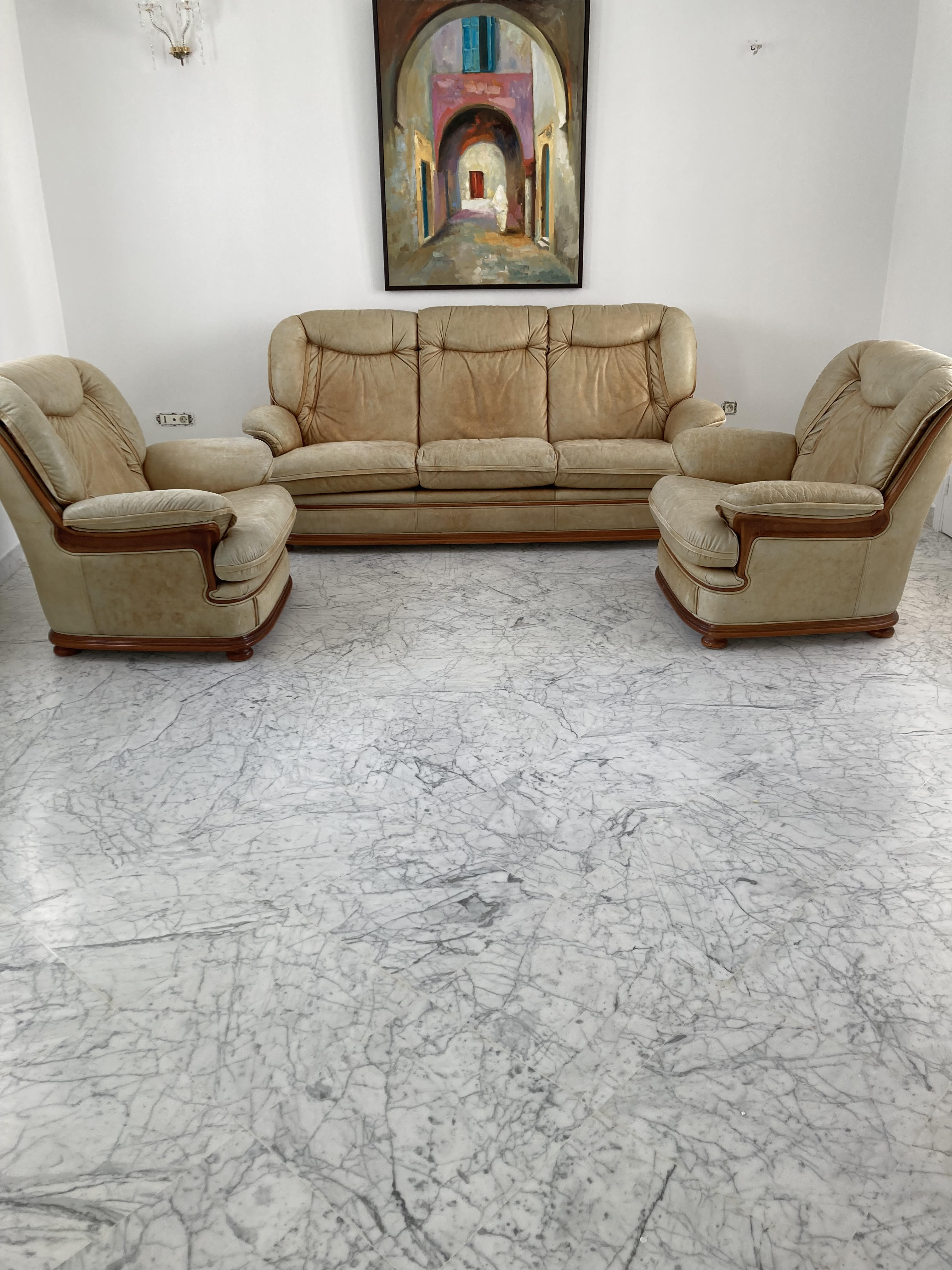 Ariana Ville Ariana Salon - Salle  manger  Salons Salon cuir vachette importe
