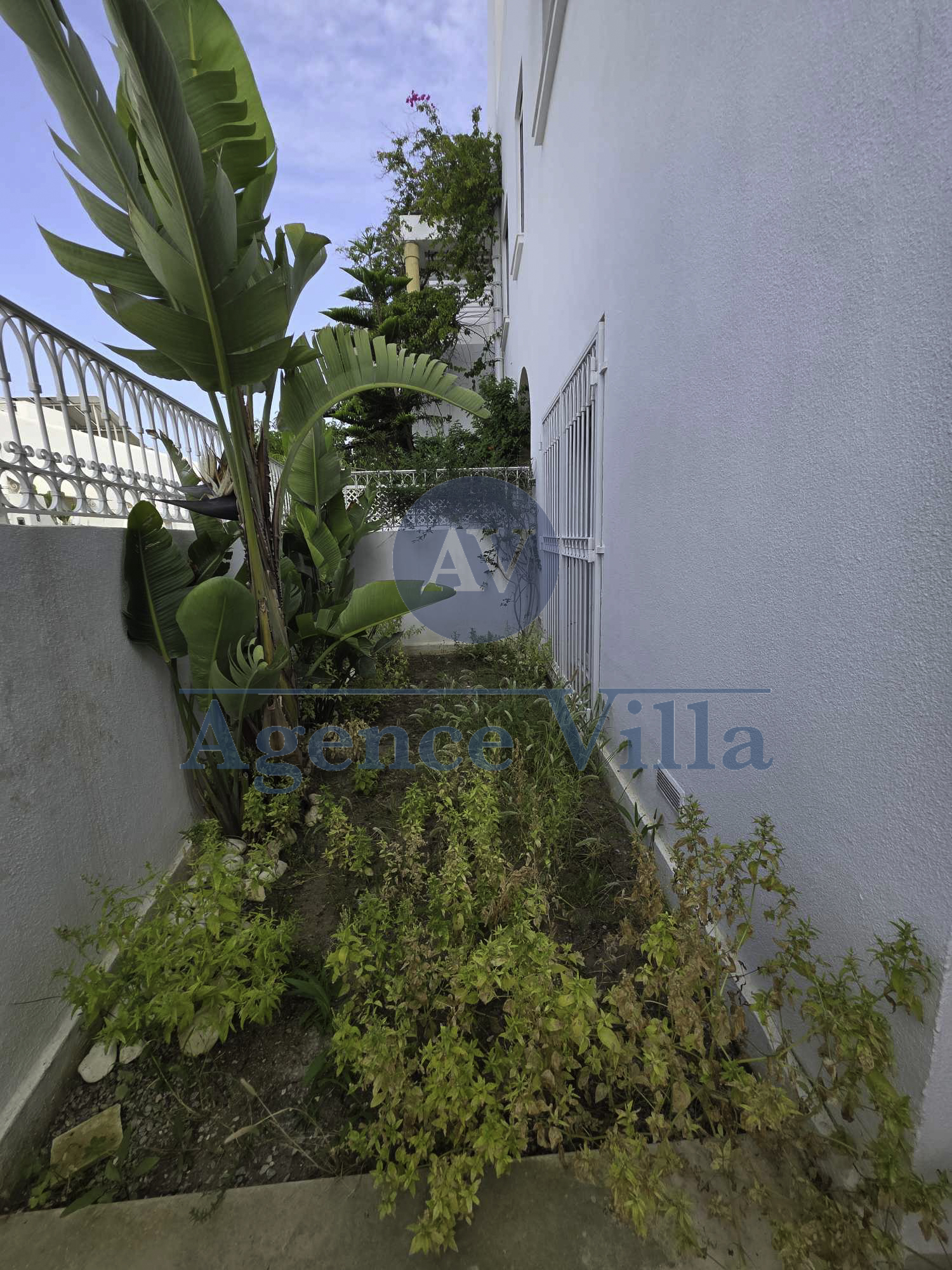 La Marsa Gammart Location Appart. 5 pices+ Un duplex s4  gammarth vue mer